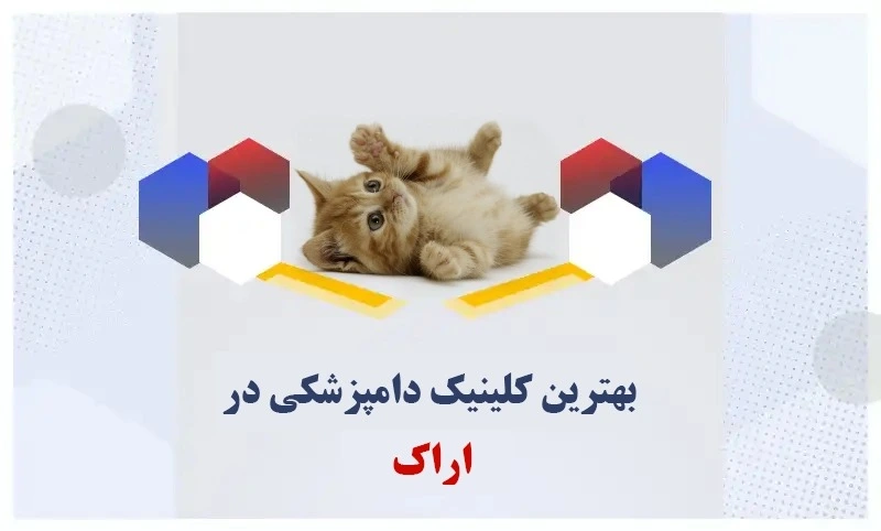 -بهترین-کلینیک-دامپزشکی-در-اراک