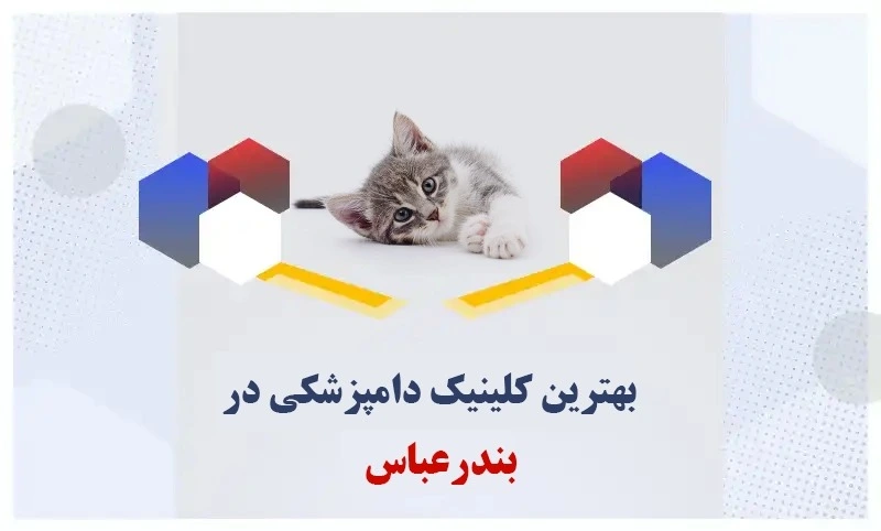 بهترین کلینیک دامپزشکی در بندرعباس | خدمات و ویژگی‌ها