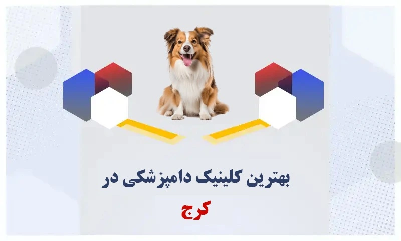 بهترین کلینیک دامپزشکی کرج| متخصص حیوانات خانگی در البرز