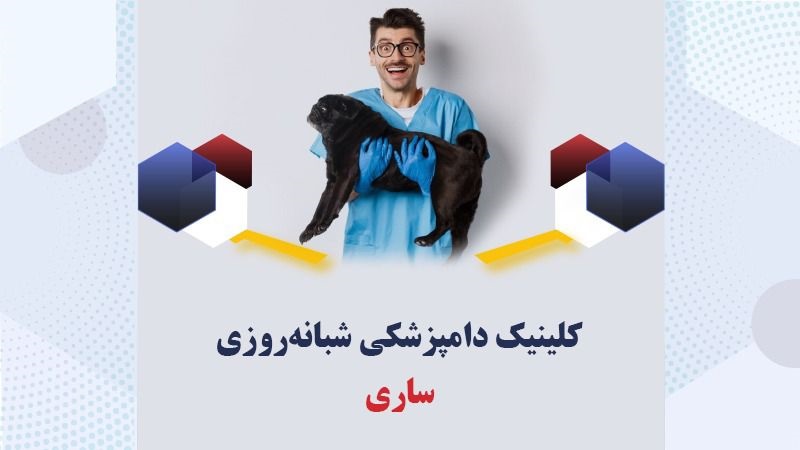 بهترین-دامپزشکی-شبانه-روزی-ساری