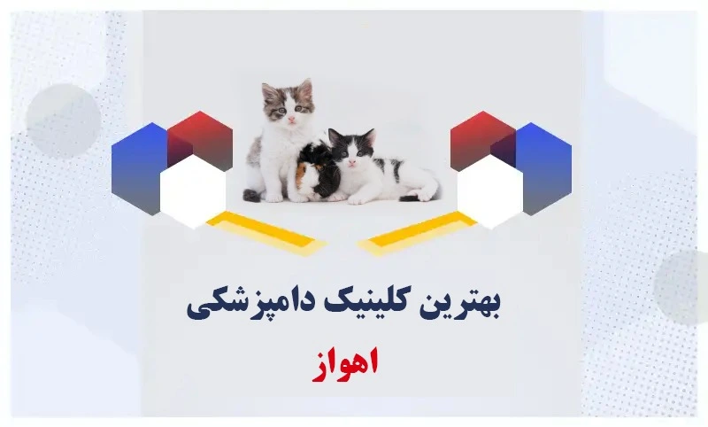 بهترین-کلینیک-دامپزشکی-اهواز
