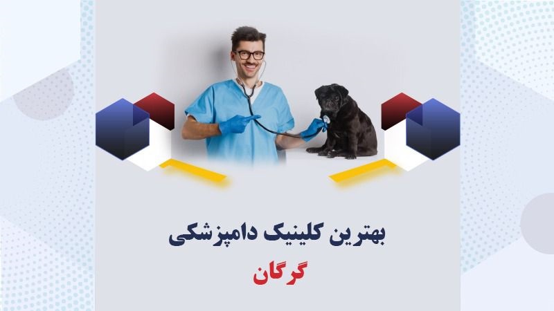 بهترین-کلینیک-دامپزشکی-گرگان