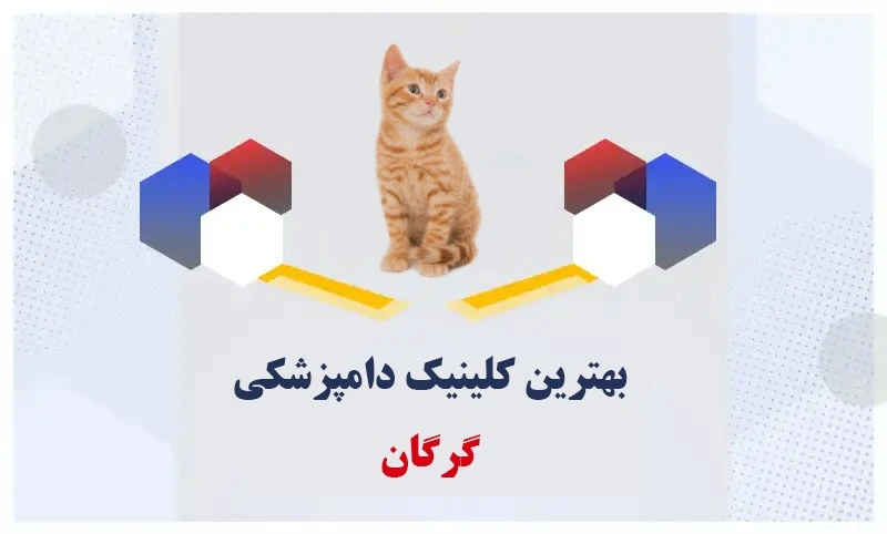 بهترین-کلینیک-دامپزشکی-گرگان