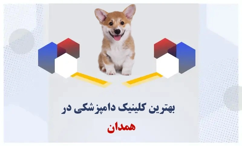 بهترین-کلینیک-دامپزشکی-همدان
