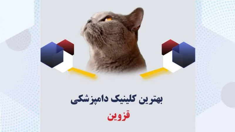 بهترین-کلینیک-دامپزشکی-قزوین