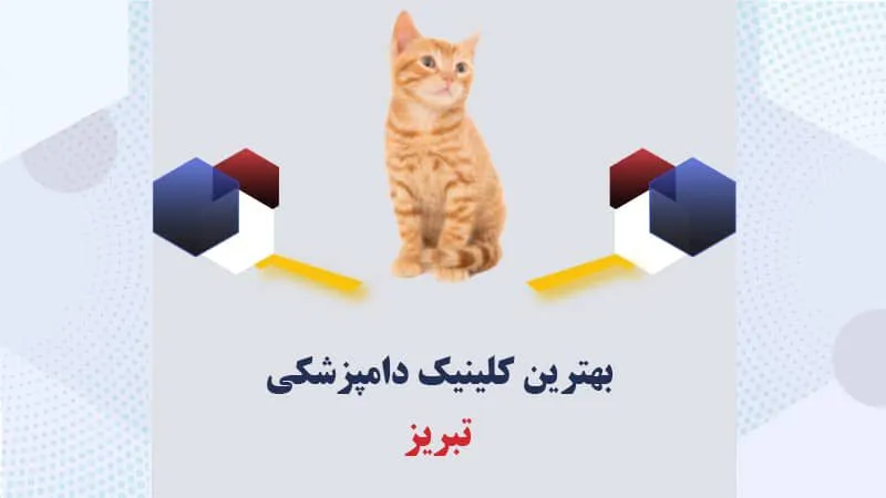 بهترین-کلینیک-دامپزشکی-تبریز