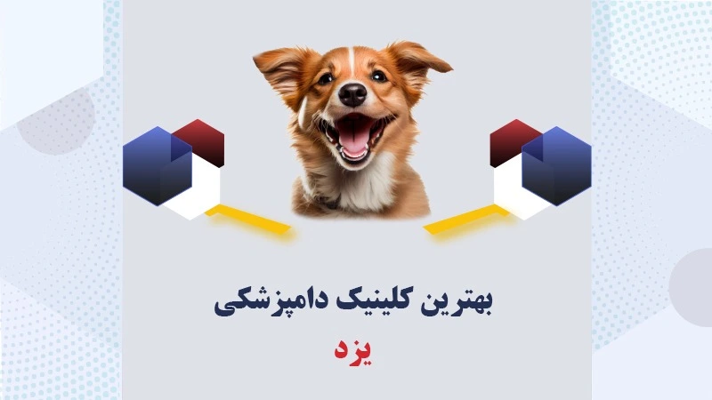 بهترین-کلینیک-دامپزشکی-یزد