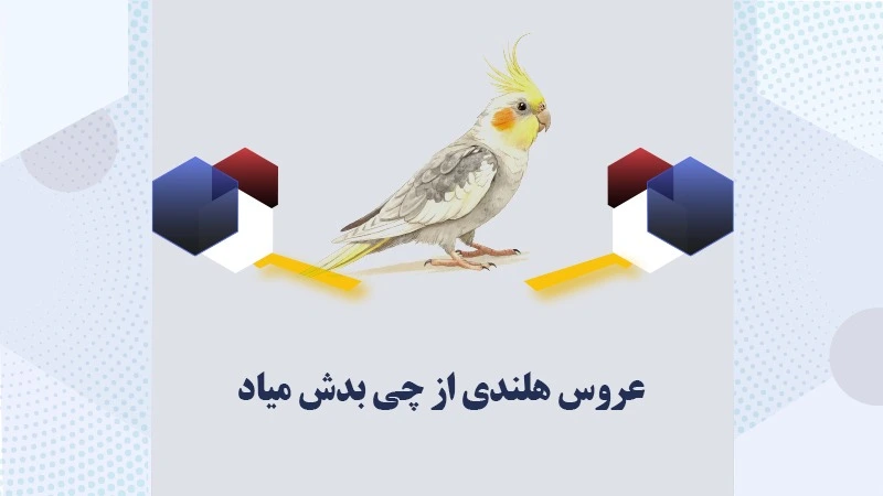 عروس-هلندی-از-چی-بدش-میاد؟