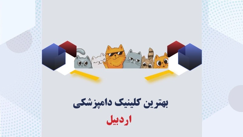 بهترین-کلینیک-دامپزشکی-اردبیل