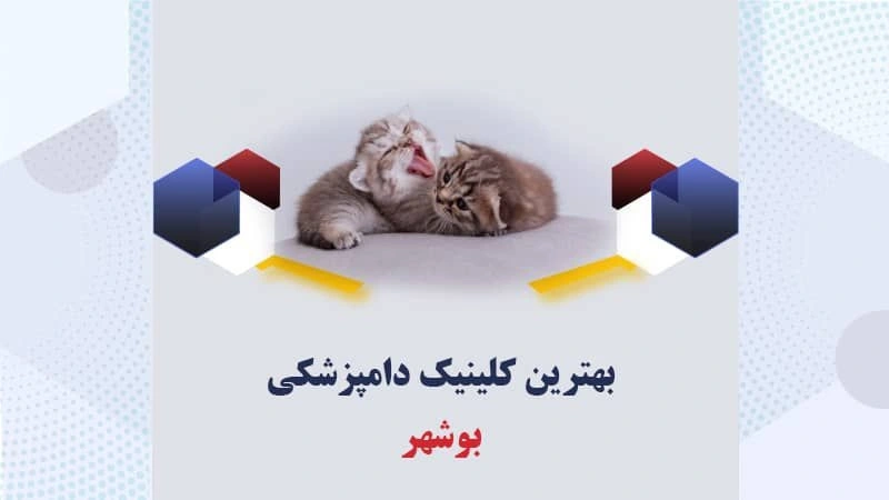 بهترین-کلینیک-دامپزشکی-بوشهر
