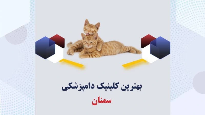 بهترین-کلینیک-دامپزشکی-سمنان