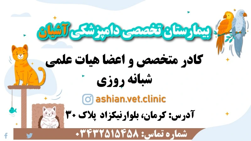 کلینیک تخصصی دامپزشکی آشیان
