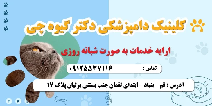 کلینیک لیزر نیکان قم