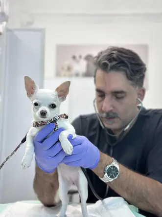 Isfahan-Pet-Clinic