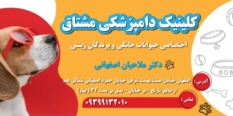 کلینیک دامپزشکی مشتاق اصفهان
