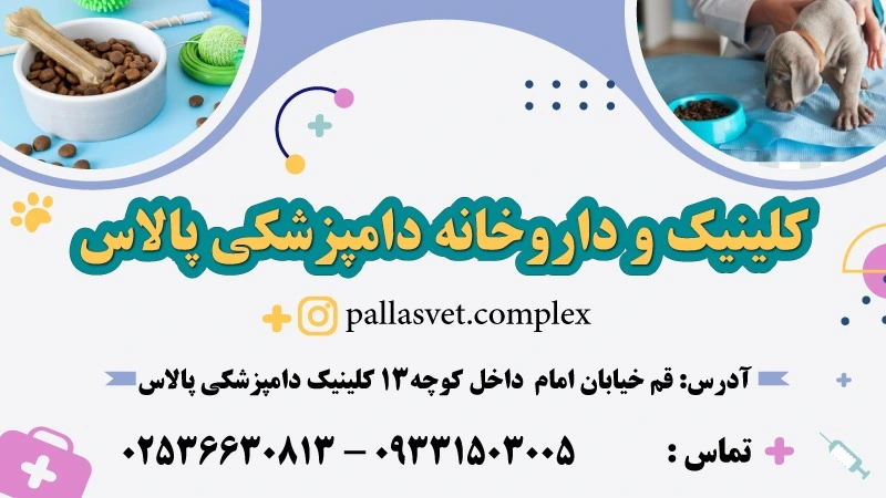 کلینیک دامپزشکی پالاس