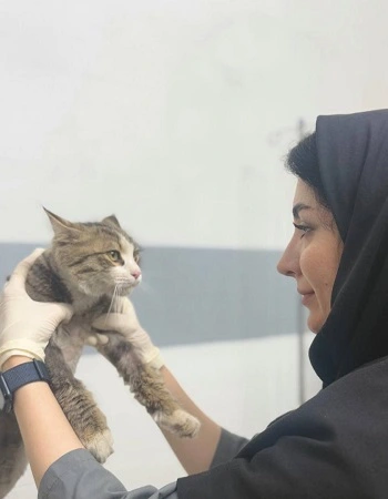 Pet-Treatment-viona-Qom