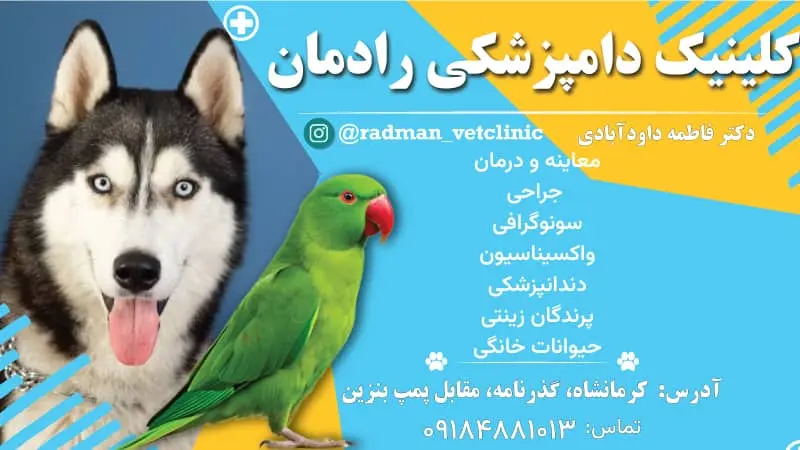 کلینیک دامپزشکی رادمان کرمانشاه