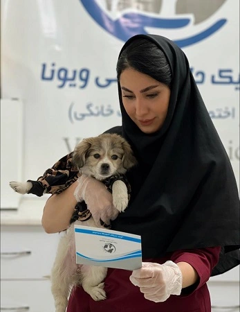 Ultrasound-Pets-viona-Qom