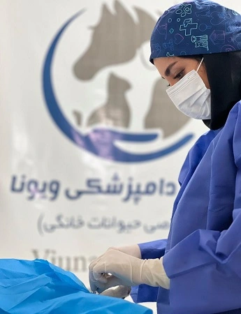Veona-Animal-Parasite-Therapy-Qom
