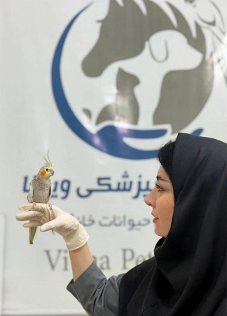 Viona-Pet-Shop-Qom