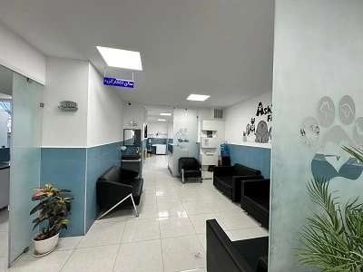 ashian-veterinary-hospital-cat