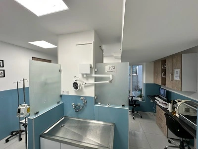 ashian-veterinary-hospital-dog