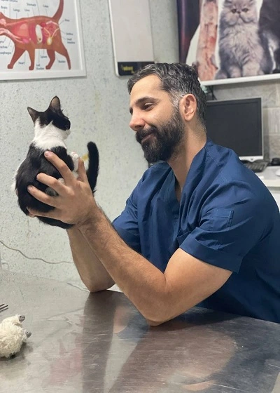 givechi-cat
