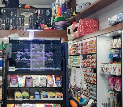 pallasvet-clinic-qom