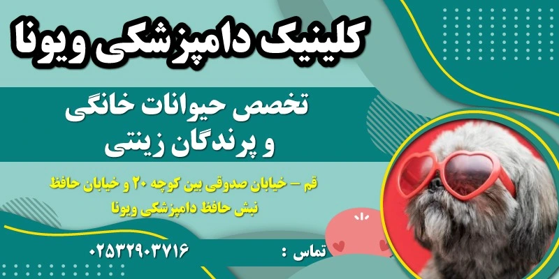 کلینیک دامپزشکی ویونا